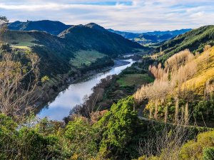 Rivier slingert door een vallei met beboste heuvels onder een halfbewolkte lucht in een natuurgebied