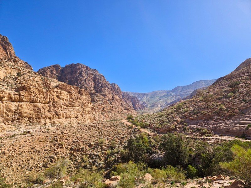 Jordanië - Dana