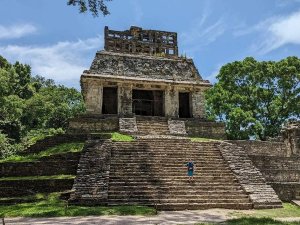Massieve trapvormige tempelruïne in een bosrijke omgeving, met een jongetje op de treden. De foto is genomen in Palenque, Mexico.