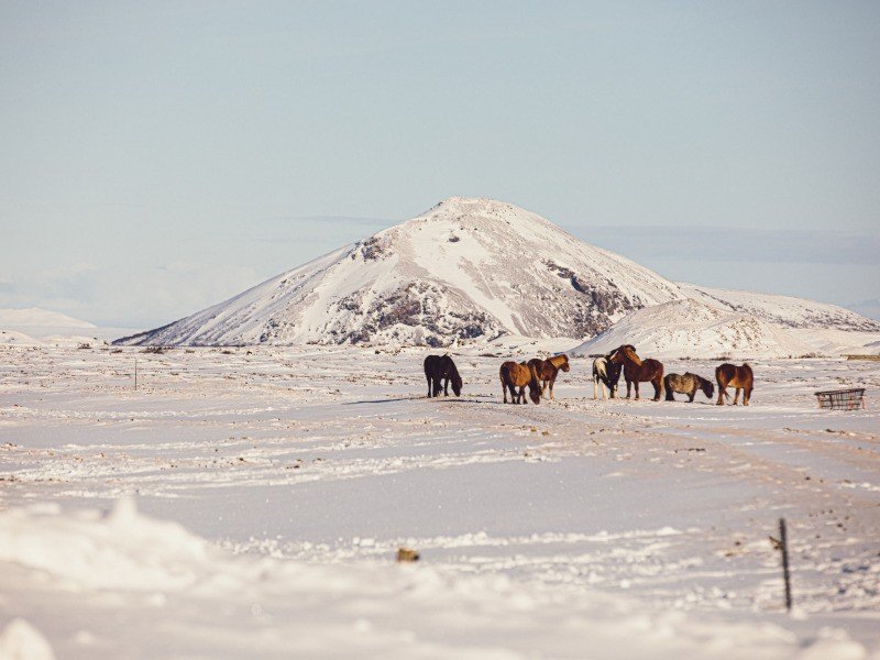 IJsland Myvatn winter