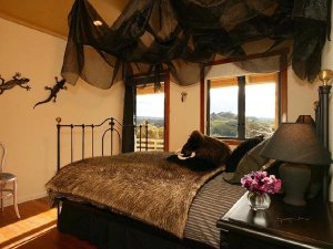 waitomo standard hotel 3