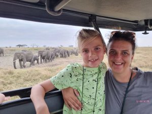 Olifanten in Tanzania