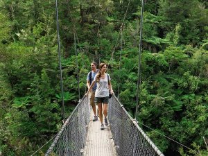 Twee wandelaars lopen over een hangbrug in een dicht groen bos in een natuurgebied