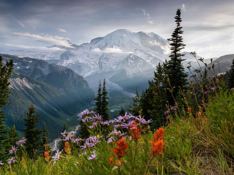 Mount Rainier