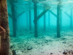 Onderwaterzicht in Albanië van houten palen op een zanderige bodem met licht dat door het wateroppervlak schijnt