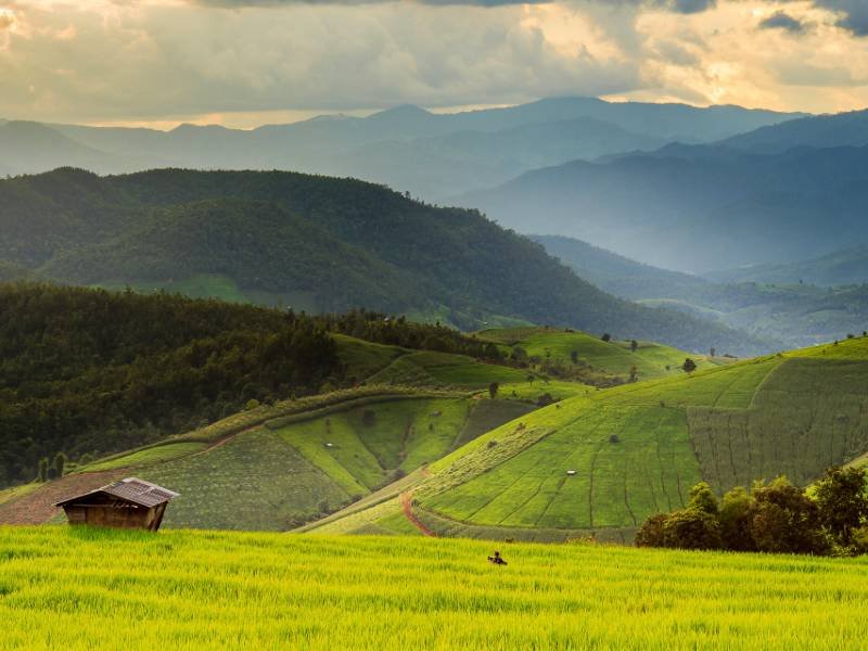 Trekking Chiang Mai thailand