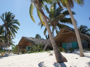 Thatched-roof bungalows and palm trees on a white sandy beach under a blue sky.