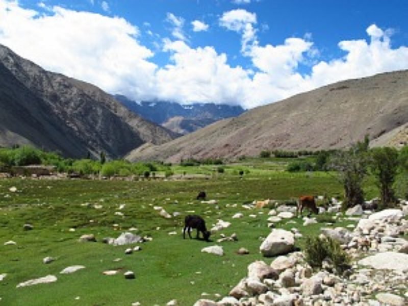 India Manali landschap