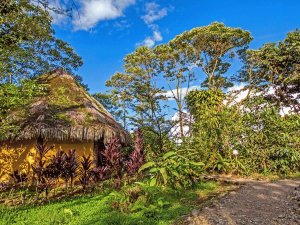 Tena special stay Ecuador Amazone