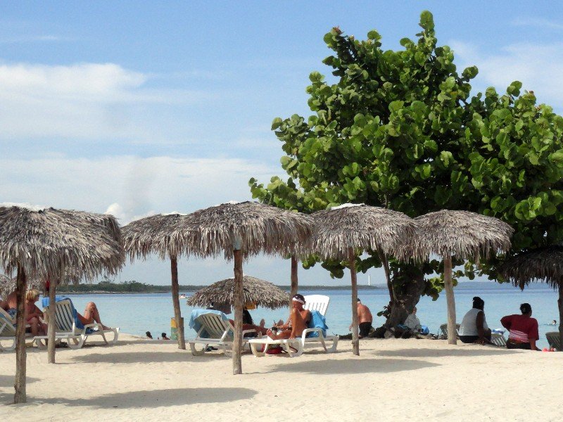 Mensen ontspannen op een zonnig tropisch strand onder rieten parasols en een grote groene boom bij het blauwe water in Cuba