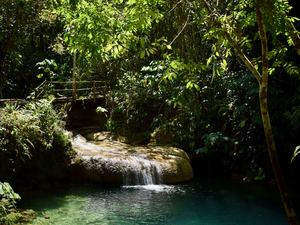 Kleine waterval stroomt in een helder blauwgroen zwembad omringd door weelderige jungle met een rustieke houten brug bij de El Nicho watervallen in Cuba
