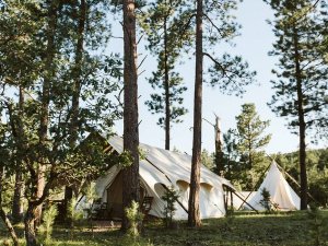 Glamping Rushmore