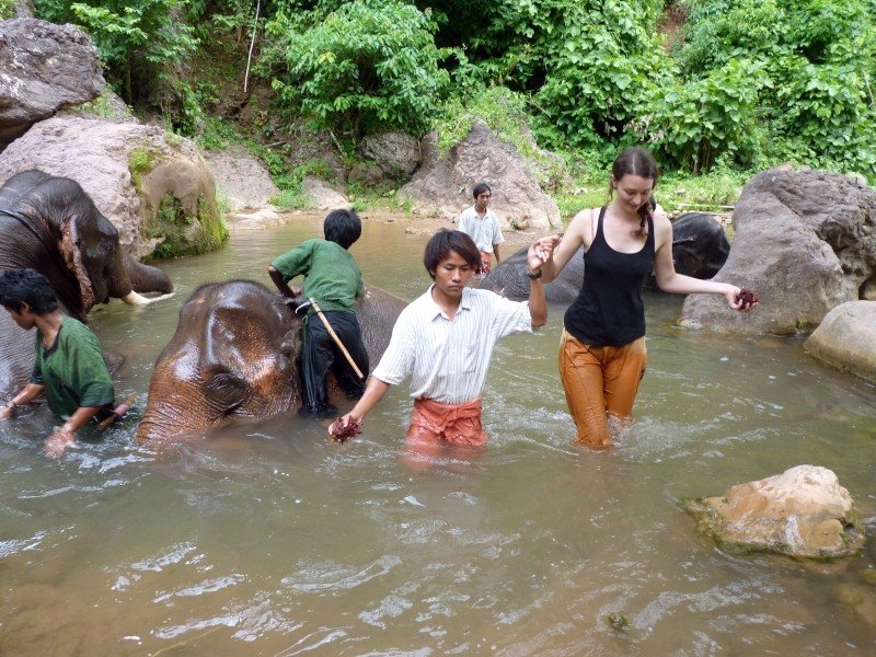 Olifanten wassen in Myanmar