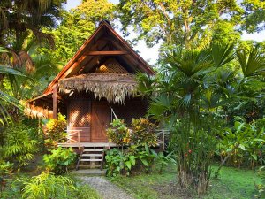 Hotel bungalow in Puerto Viejo