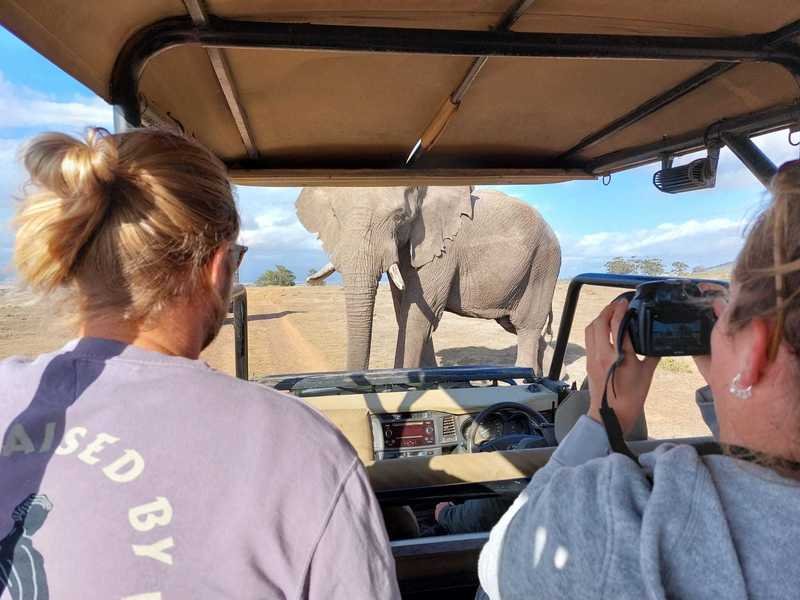 Zuid-Afrika safari