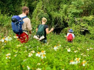 Drie wandelaars met rugzakken en wandelstokken lopen door een veld met witte bloemen, omgeven door dichtbegroeide jungle en weelderig groen.