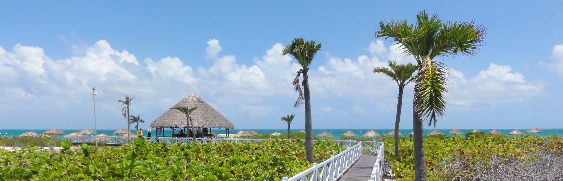 Een houten wandelpad door weelderige groene vegetatie en palmbomen leidt naar een strandbar met een rieten dak en de oceaan onder een blauwe lucht in Cuba