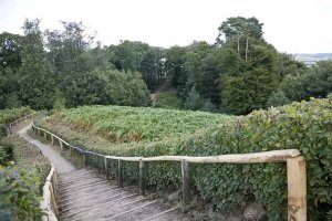 De Duivelsberg