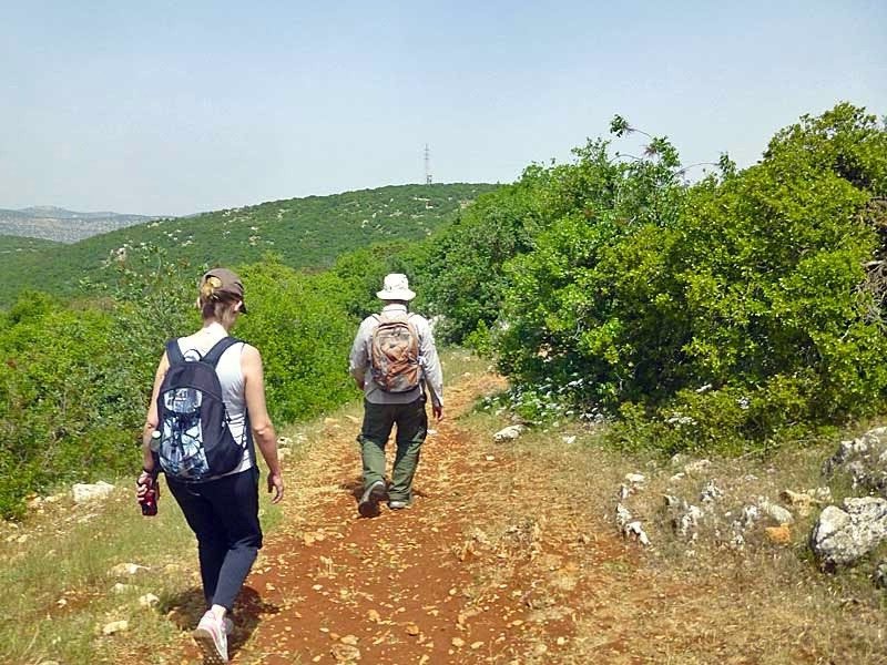 Jordanië - Ajloun
