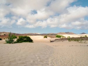 Woestijnlandschap met zandduinen, groene struiken en heuvels in de verte onder een bewolkte lucht in een droog natuurgebied