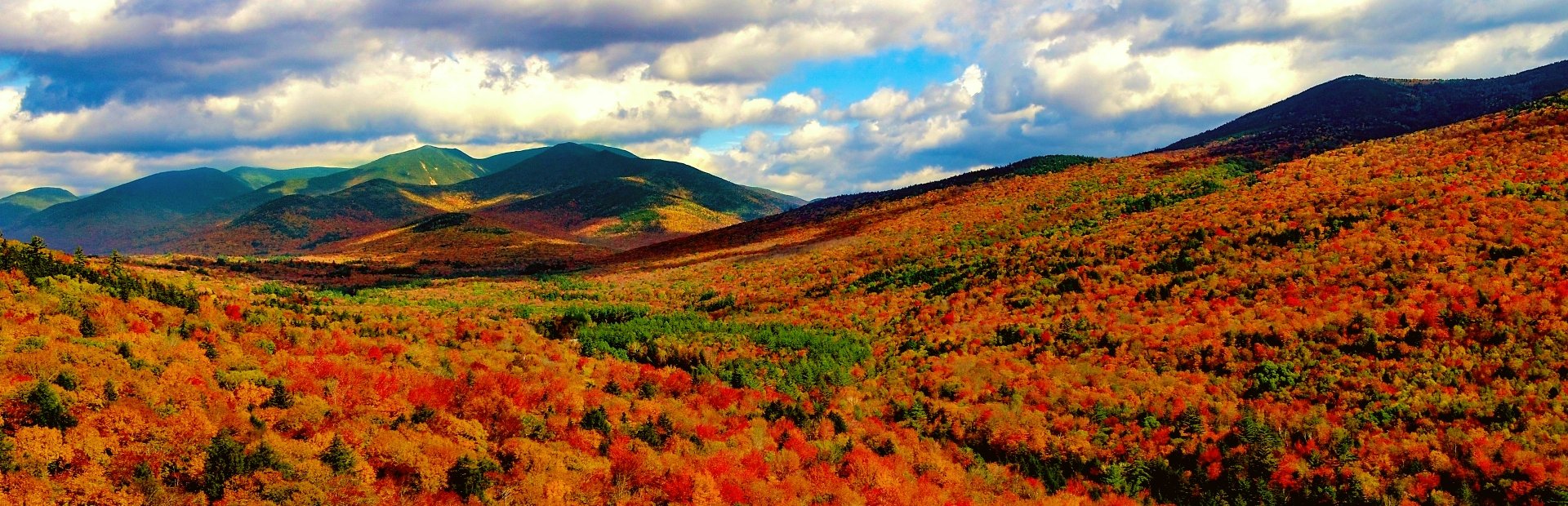 White Mountains - Amerika