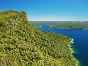 Weelderige groene berg kijkt uit over een diepblauw meer met eilanden in de verte onder een heldere lucht in een bergachtig natuurgebied