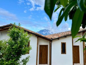 Wit gebouw met terracotta dakpannen en groene beplanting, met een berg op de achtergrond onder een blauwe lucht in Berat, Albanië