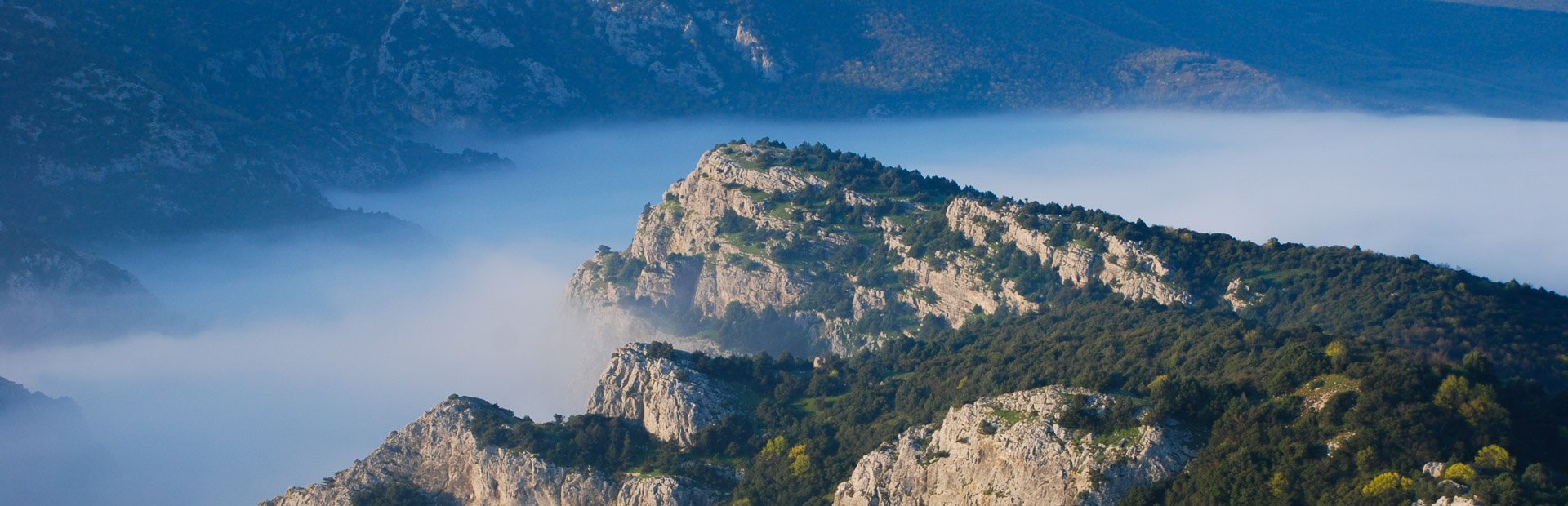 Rotsachtige bergen in Kosovo bedekt met bomen die boven een dikke laag mist uitsteken