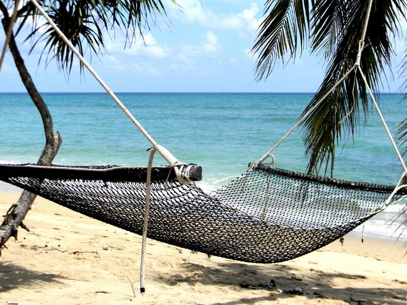 Een lege hangmat van gehaakte touw hangt tussen twee palmbomen op een tropisch strand, met uitzicht op een kalme, turquoise zee onder een blauwe lucht met lichte wolken.