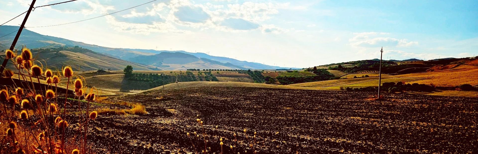 hero tussen stad en platteland
