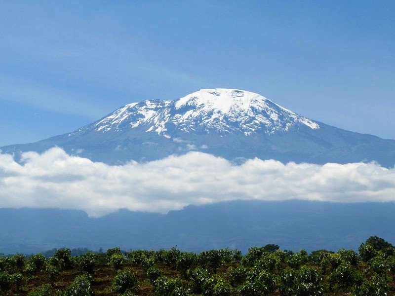 Uitzicht op Kilimanjaro