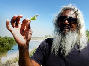 Man met lang wit haar en baard, zonnebril en een kleine groene vogelvormige plant tegen een blauwe lucht in Australië