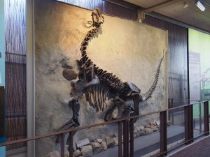 Vernal Dinosaur National Monument Utah