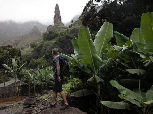 Wandelaar staat tussen grote bananenplanten en kijkt uit over een mistige vallei met een hoge smalle rotspiek in een bergachtig natuurgebied