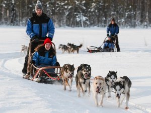 Lapland inspiratie