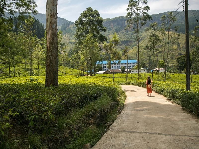 Nuwara Eliya Sri lanka