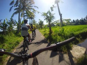 Bali Ubud