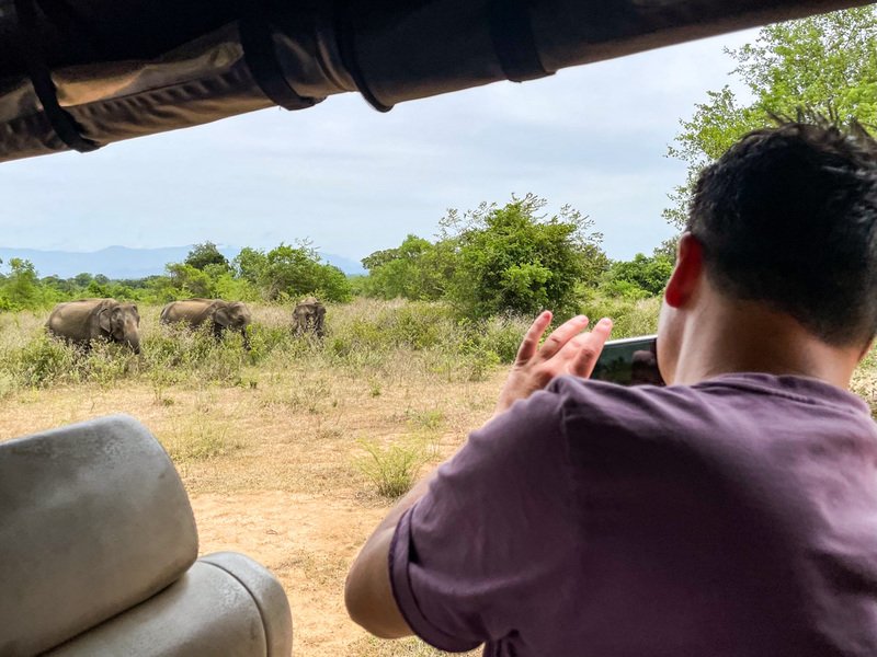 safari in udawalawe