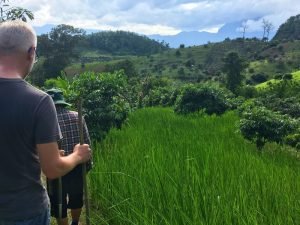chiang mai trekking bergdorp natuur reiziger thailand