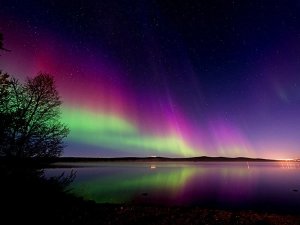 Noorderlicht in Zweeds Lapland