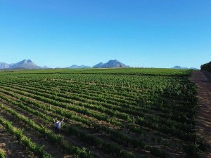 Zuid-Afrika Stellenbosch