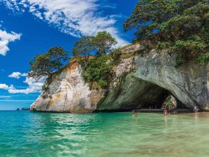 Nieuw-Zeeland Coromandel