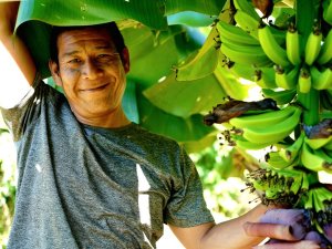 Argentina-iguazu-community