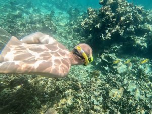 Reiziger snorkelt boven koraalrif in helder tropisch water.