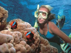 Vrouw snorkelt onder water bij een koraalrif terwijl ze kleurrijke vissen bekijkt in Australië