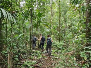 Mensen wandelen door de jungle van Corcovado