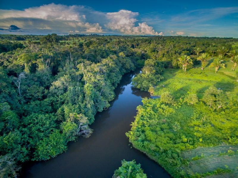 amazone brazilie