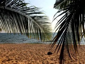 Stranden van Phu Quoc met palmbomen