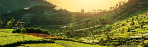 Indonesie bucketlist