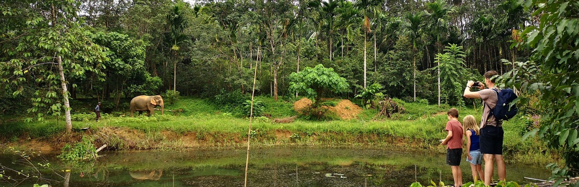 Gezin aan de oever van een vijver kijkt naar een olifant in de jungle, met weelderig groen op de achtergrond.